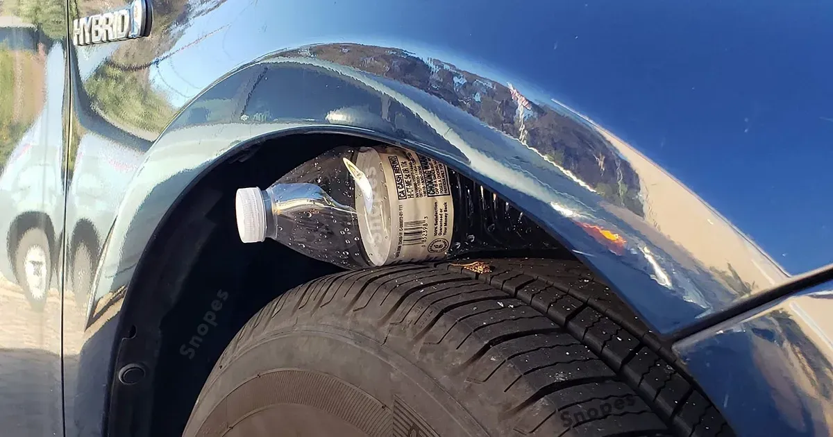 BottleTire